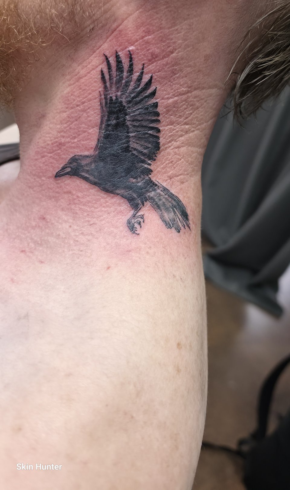 Fliegender Rabe in Schwarz-Grau am Hals
